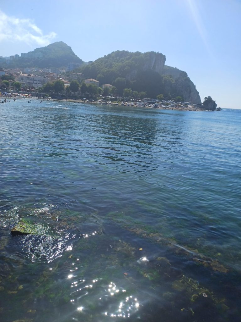 IMG 20230819 WA0020 768x1024